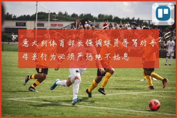 意大利体育部长强调球员辱骂对手母亲行为必须严惩绝不姑息