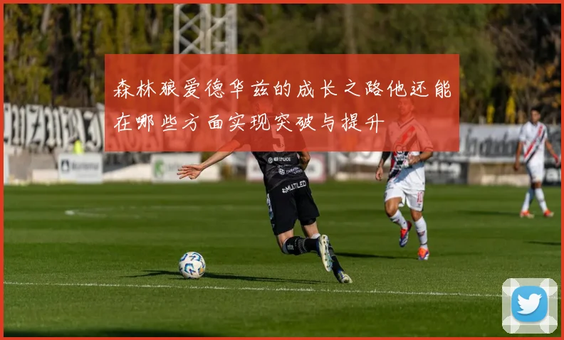 森林狼爱德华兹的成长之路他还能在哪些方面实现突破与提升