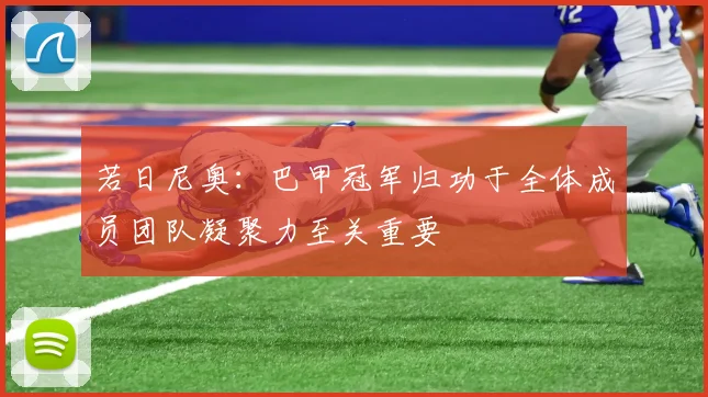 若日尼奥：巴甲冠军归功于全体成员团队凝聚力至关重要