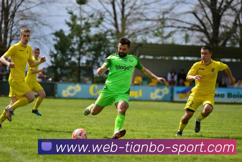 天博体育APP 封面图